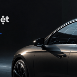 WT.Web-dmot-cover