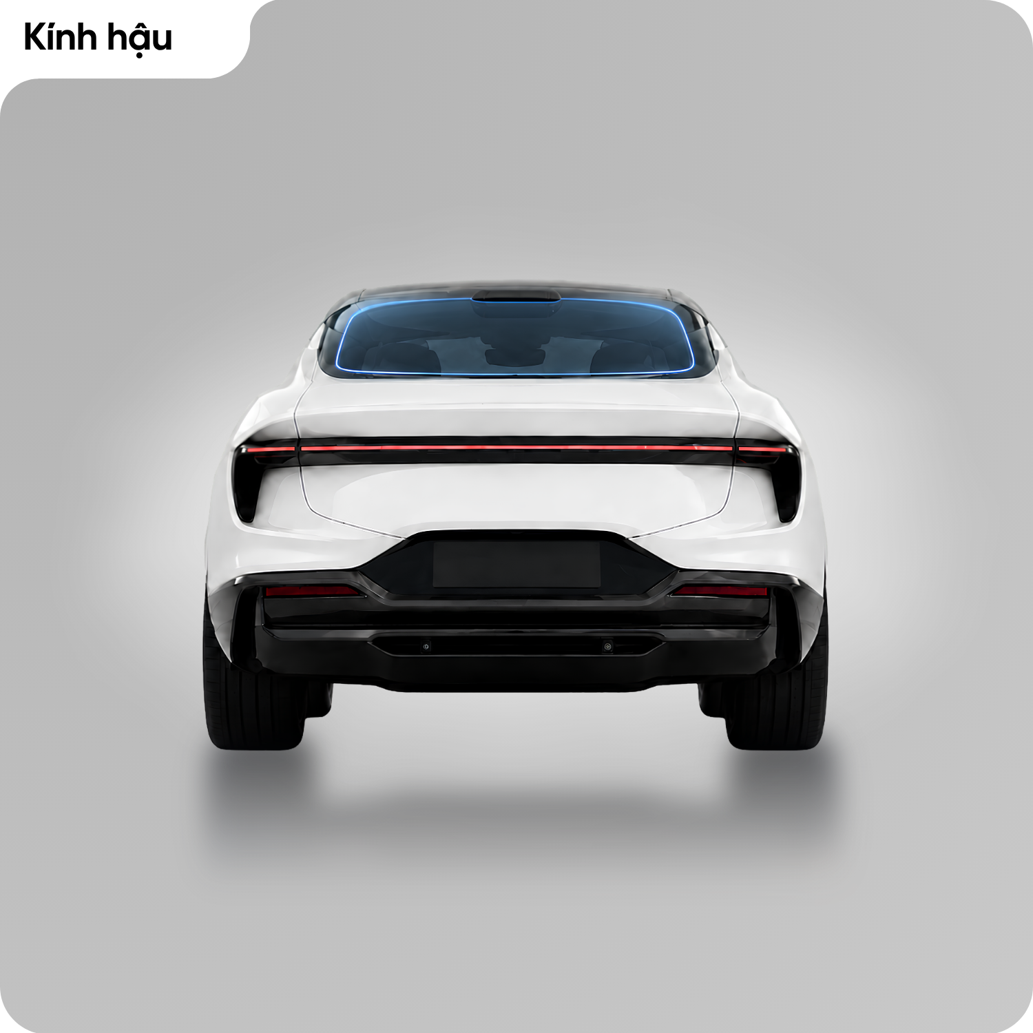 sanpham-kinh-hau-1408-2