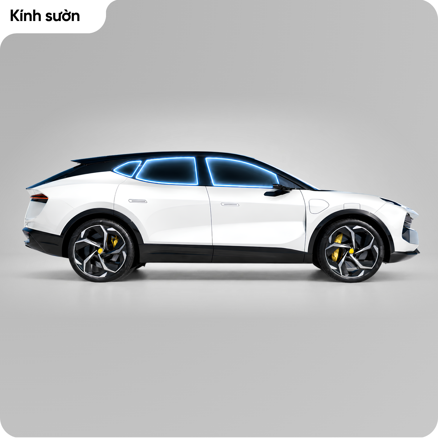 sanpham-kinh-suon-1408-2