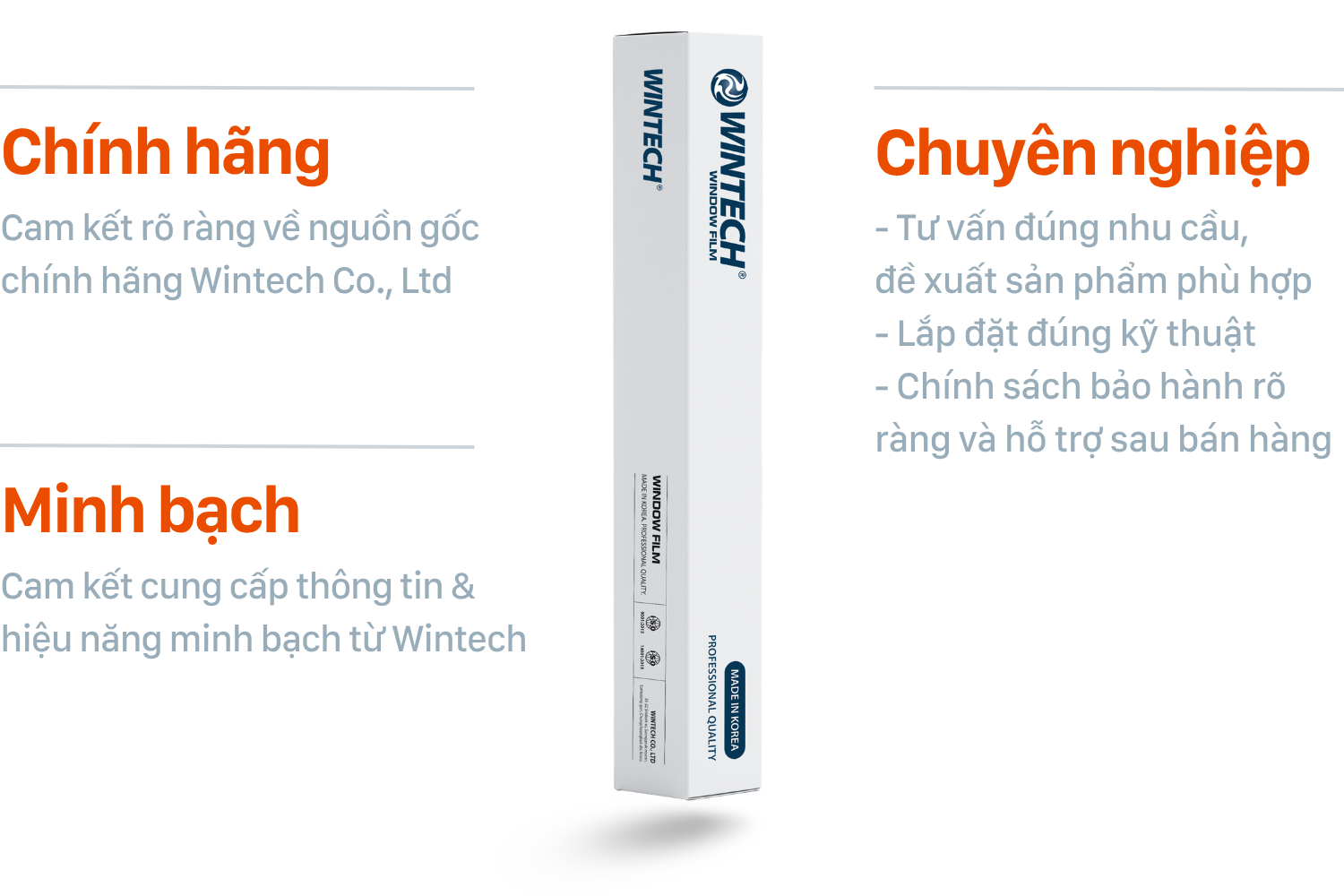 Điểm nổi bật Wintech Film Việt Nam