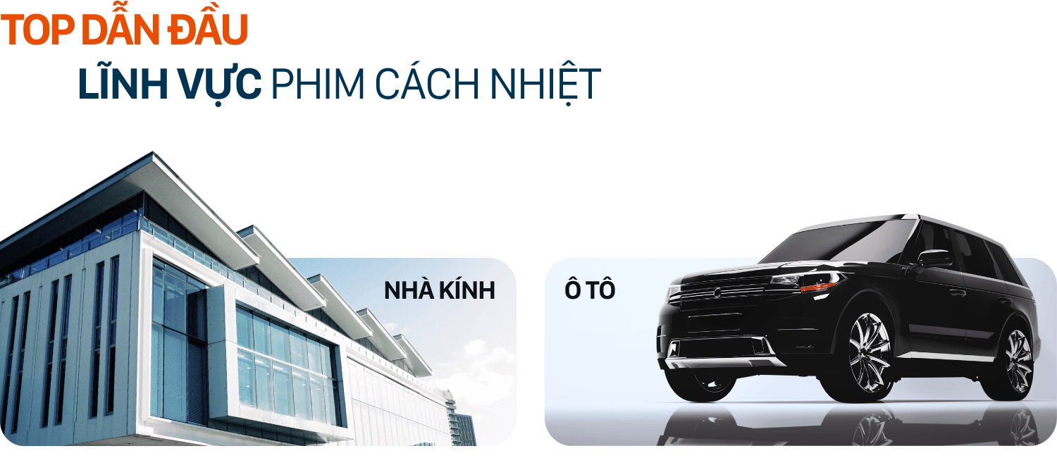 Lĩnh vực hoạt động của Wintech Film Việt Nam